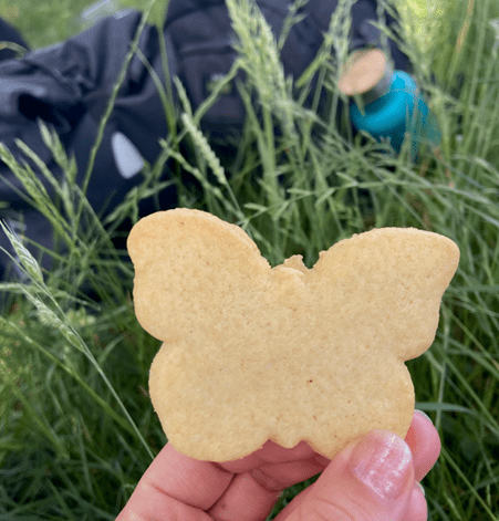 a biscuit shaped like a butterfly